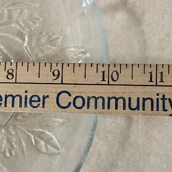 Livia Pattern Pasari Crystal Glass Dinner Plates Embossed Roses 10 inch Set of 2 - Picture 3 of 4